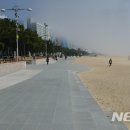 해운대해수욕장 호안도로 - 32719 | 해운대해수욕장 호안도로