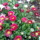 아름다원 이미지