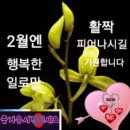 2월을 맞으며~ 참 좋은 인연인 당신께 꽃다발을 이미지