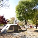 엄소리오토캠핑장 이미지
