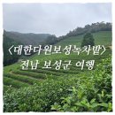 벌밭숲 | 국내 가을 가족여행지 추천｜전남 보성 대한다원 녹차밭 완벽 가이드 (주차·운영시간·코스)