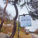 빠빠에피 이미지
