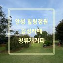 이마트24 용인IC점 | 💕평택 인근 안성 힐링카페 추천 &#39;청류재커피&#39; 찐후기 (메뉴, 식물원, 애견동반여부, 주차장 한방 정리)