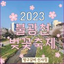 불광천변(신응교) | 은평구 벙구갈비 신사점... 그리고 불광천 벚꽃 나들이 - 2023.4.2(일)