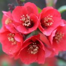 광주중학교 이미지