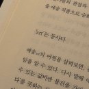 고양이의 휴가 경기광주점 | 고양이가 반겨주는 경기광주 회덕동 카페 멜리에스 내돈내산 방문기