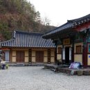 동화사 Daum카페