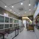 오드리 펫 이미지