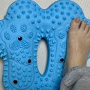 방이코끼리약국 | 지압 스텝퍼 추천 내돈내산 솔직 후기 3개월