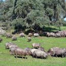 한화농장 이미지