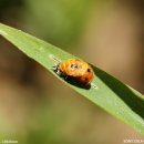 흥부닭집 이미지