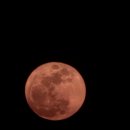 [영종도] 구읍뱃터에서 만난 4월의 선물, 핑크문(Pink Moon) 후기
