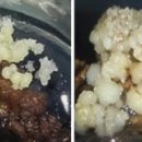 D00129 네이버블로그