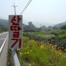 영남목장(제1목장) Daum카페