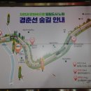 용마당구장 이미지