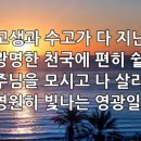 찬송가 610장(통289) 고생과 수고가 다 지난 후 이미지