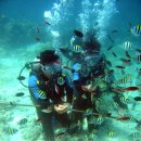 중화동-011 이미지