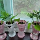 북면지역아동센터 이미지