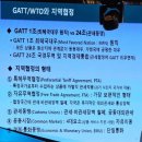 더샤인글로벌 이미지