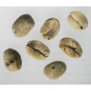 `데미지드 빈`(Damaged Bean) 이미지