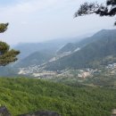 매성목장 Daum카페