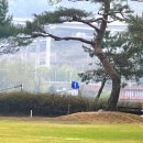 정발산파크골프장 | 고양시 정발산파크골프장 예약 위치 가격 이용방법