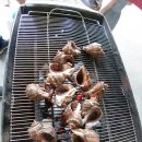 디케이모터스 이미지