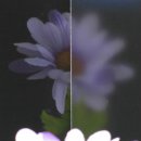 고광택 이미지
