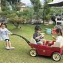 로로하우스 이미지