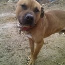 월향농장 이미지