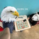 🌊🌊바다 보러 떠나는 1박 2일 강릉 여행🌊🌊 /리틀다이너