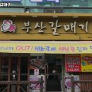 신부산갈매기 이미지