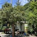 초이스쉼터 이미지