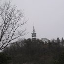 평화등대 이미지