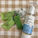 바이오덴탈 | 🦷바이레프 바르는 치약 · 허니콤츄 · 바이오플라그 캡슐로 강아지 치석제거&amp;구강관리 시작! [내돈내산...