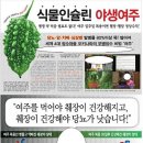 신안여주영농조합법인