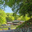 동비골 | 충남 청양편 - 장곡사 &amp; 서정리 구층석탑 &amp; 모덕사(면암고택)
