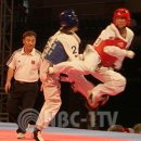 산성태권도체육관 이미지