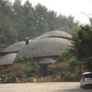 천지황찜질방 이미지