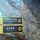 삼선 이미지