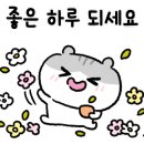 경희대 멘토 태권도 이미지