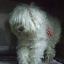 진수동물병원 이미지