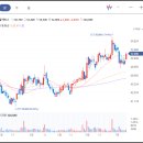 펄인베스트먼트