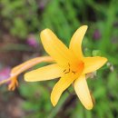 노고단-2 이미지