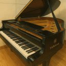 한세대학교 | 2026년 한세대학교 예술학부 정시모집 안내 ｜실기전 필수 워밍업 장소｜장피아노스튜디오