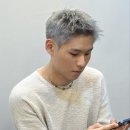 애쉬그레이 카카오 검색결과