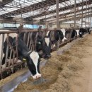 조성농장 이미지