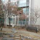 금화로82번길 이미지