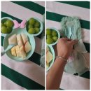 그린유치원 | 유아식판 다용도플레이트 밤토리샵 유치원식판 후기