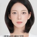 플러미드 Plumid